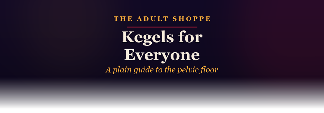 The Adult Shoppe: kegels for everyone, a plain guide to the pelvic floor