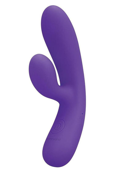 Bodywand Power Bliss Rabbit, Mini Wand and Panty Vibe Set (3 Piece)