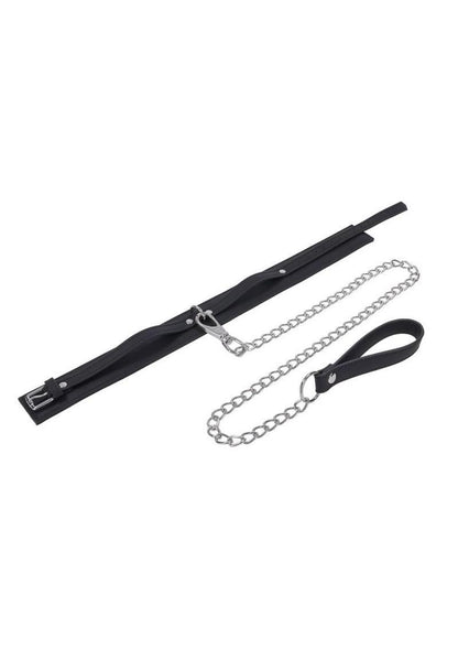 Signature Midnight Muse Collar and Leash