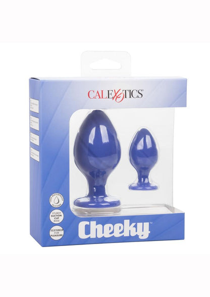 Cheeky Silicone Textured Anal Plugs - Blue/Purple - Large/Small - Set Of 2